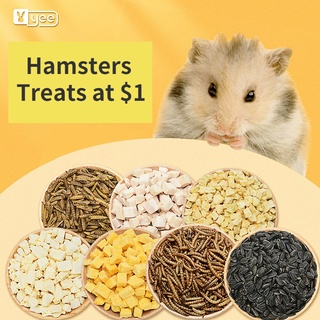 SG Stock - Hamster Treats at $1