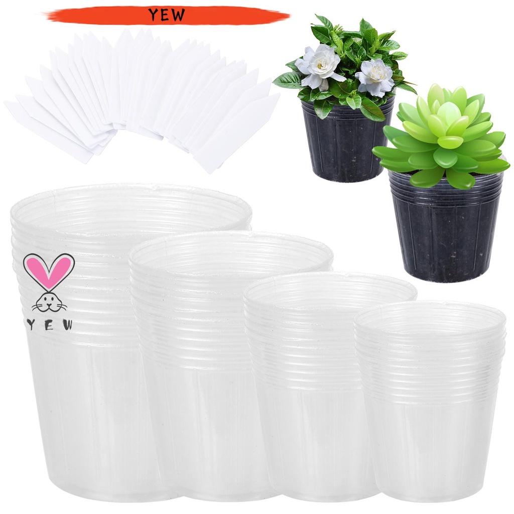 Base Transparent Plant Nursery Pots Flower Pot Plastic Plant Pots Sprout Plate 