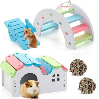 5 Pieces Rainbow Hamster Toys Set Include Wooden Hamster House Rainbow Hamster Seesaw Toy Bridge Sport Exercise Toy and Exercise Chew Grass Balls for Small Animal Gerbil Hamster Hedgehog 