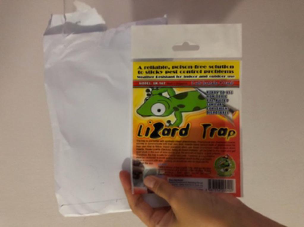 Pest Stop Lizard Killer Lizard Trap Lizard Repellent ...