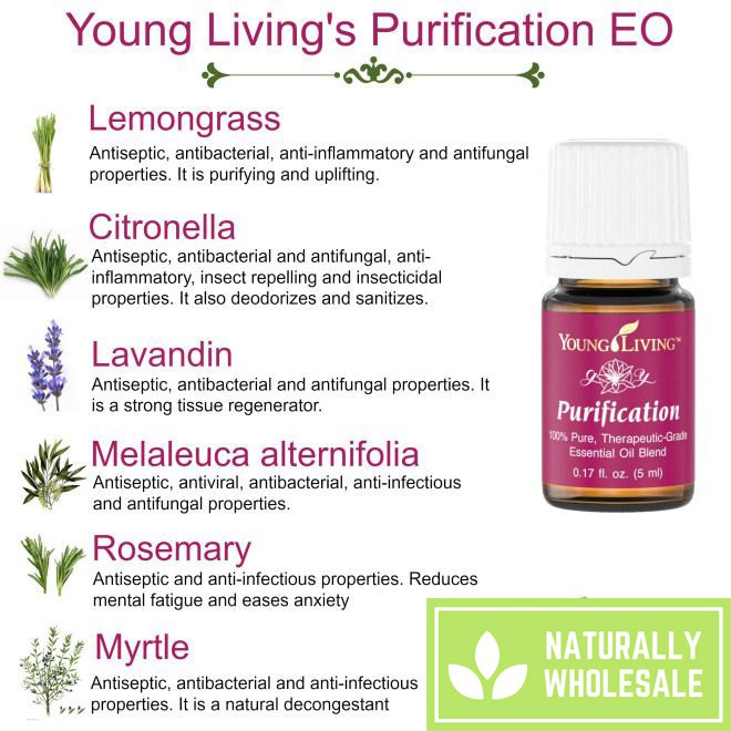 Young Living Purification Essential Oil Blend 15ml Shopee Singapore