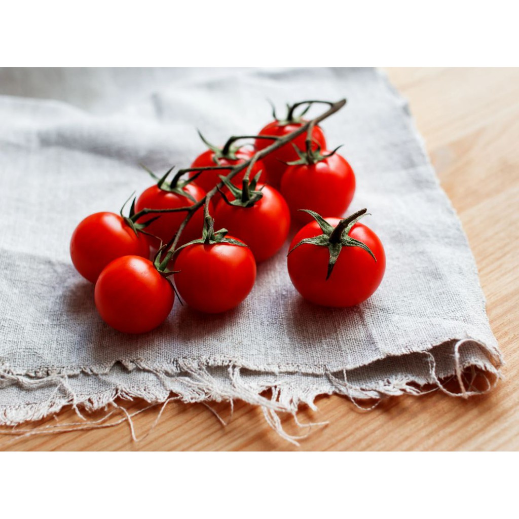 Netherlands Cherry Tomatoes On Vine 荷兰樱桃番茄 Shopee Singapore