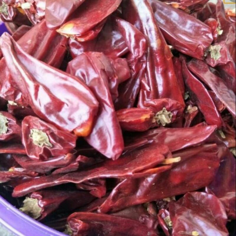 Cili Kering China Gemuk Yidu Yidu Dried Chili Shopee Singapore