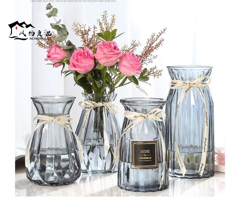 Creative vase glass transparent water maintenance living room ornament