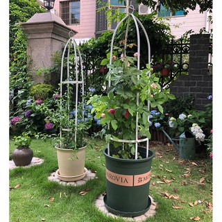 Litgrow Garden Life Style Trellis Climbing Vines Gardening Trestle ...