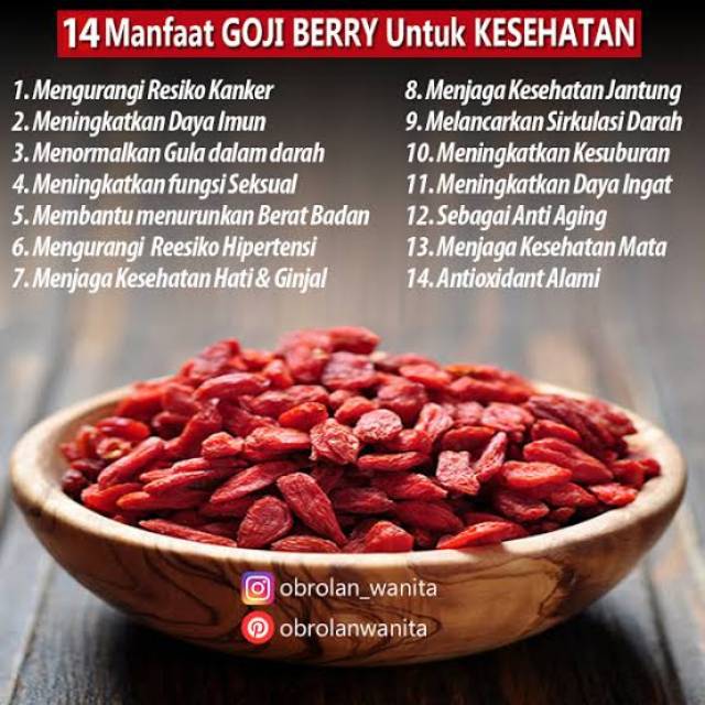 Goji Berry Anic 250 Gr Singapore