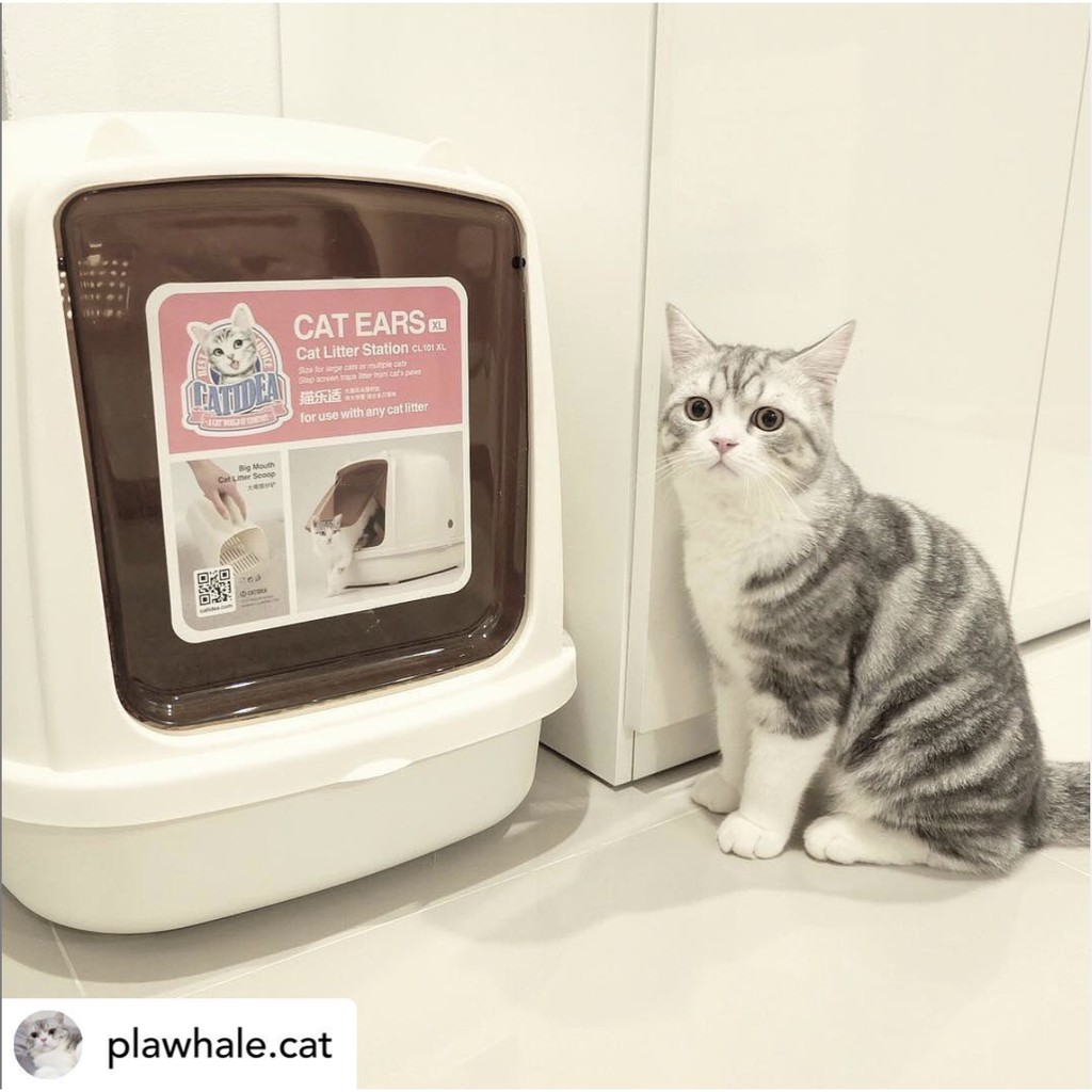 catidea litter box