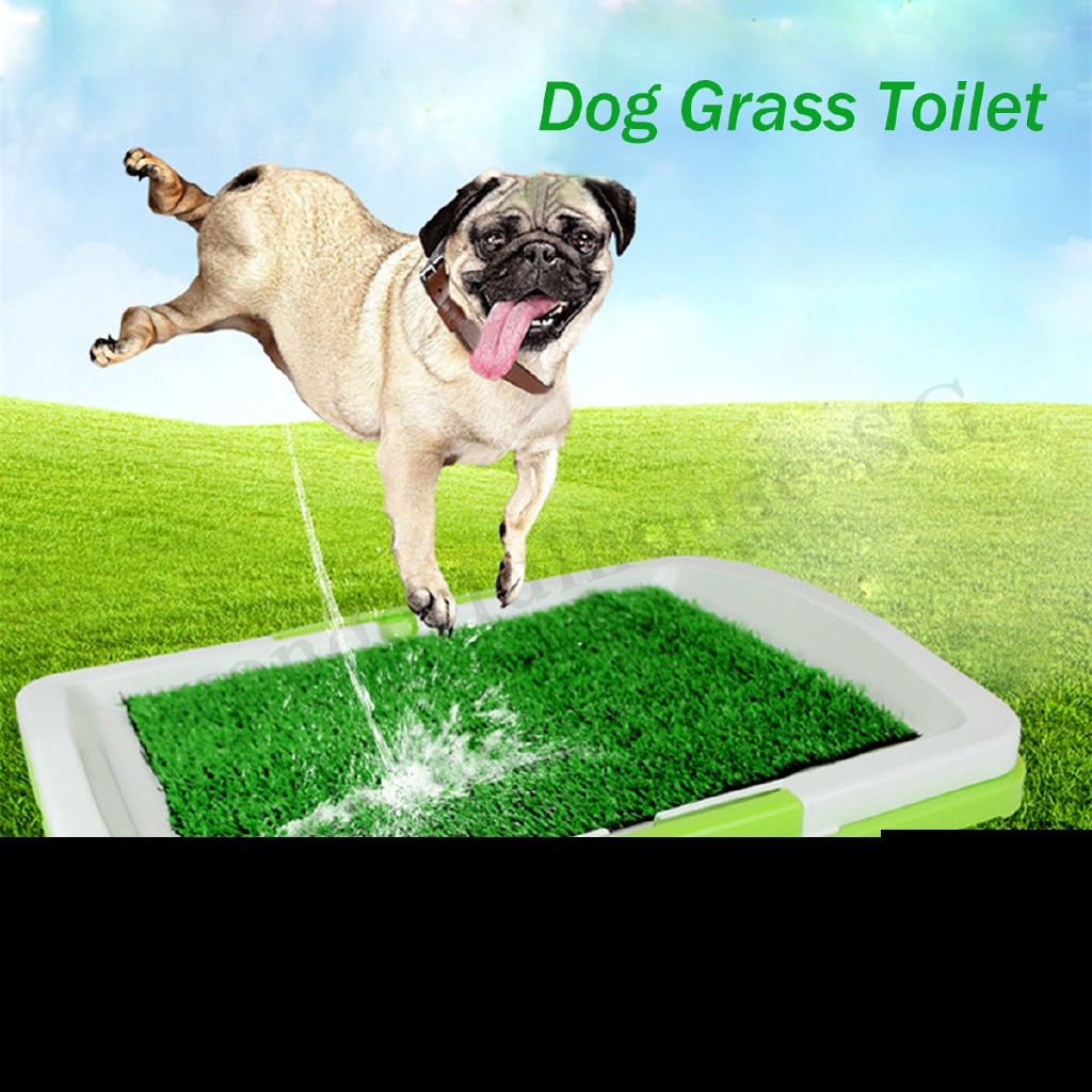 dog real grass pad