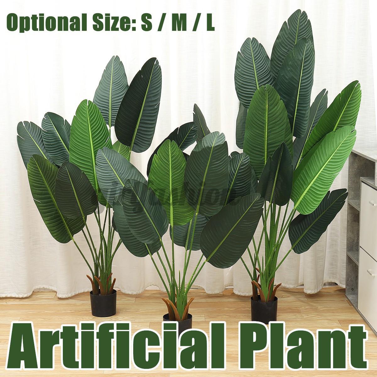 Download Indoor Tree Plant Pot Pictures