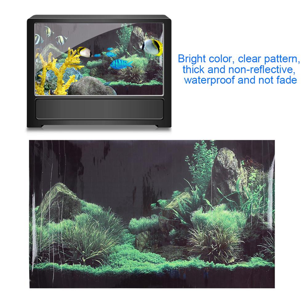 Unduh 830 Background Aquarium Wall HD Terbaik