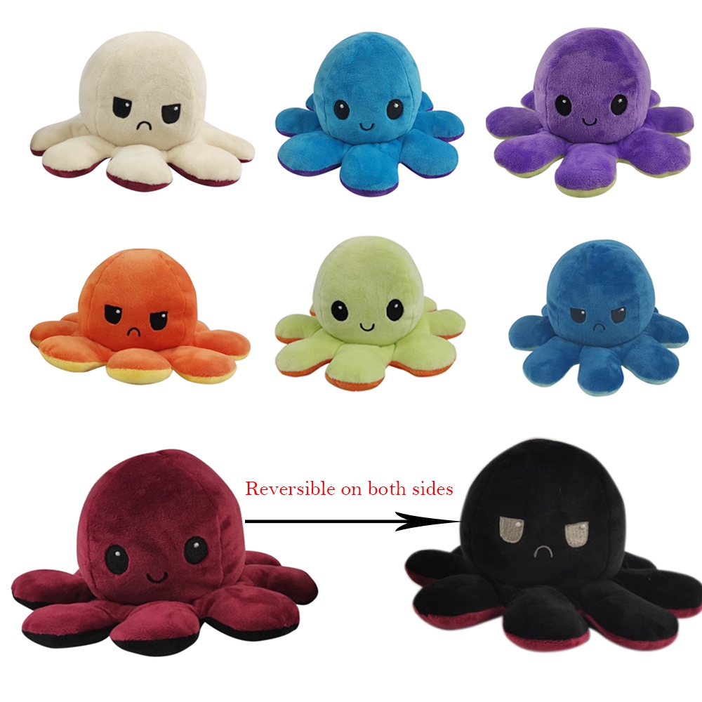 teeturtle octopus