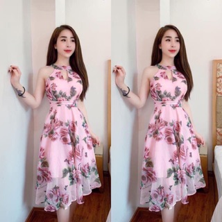 Rose Dress With Dropping Neck Beautiful Sparkling