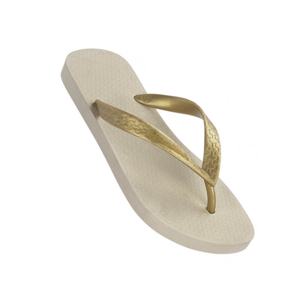 ipanema classic flip flops