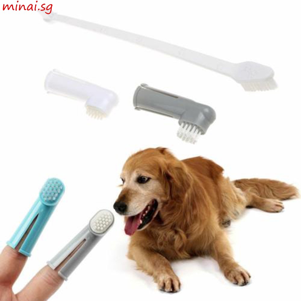 loronz dog toothbrush