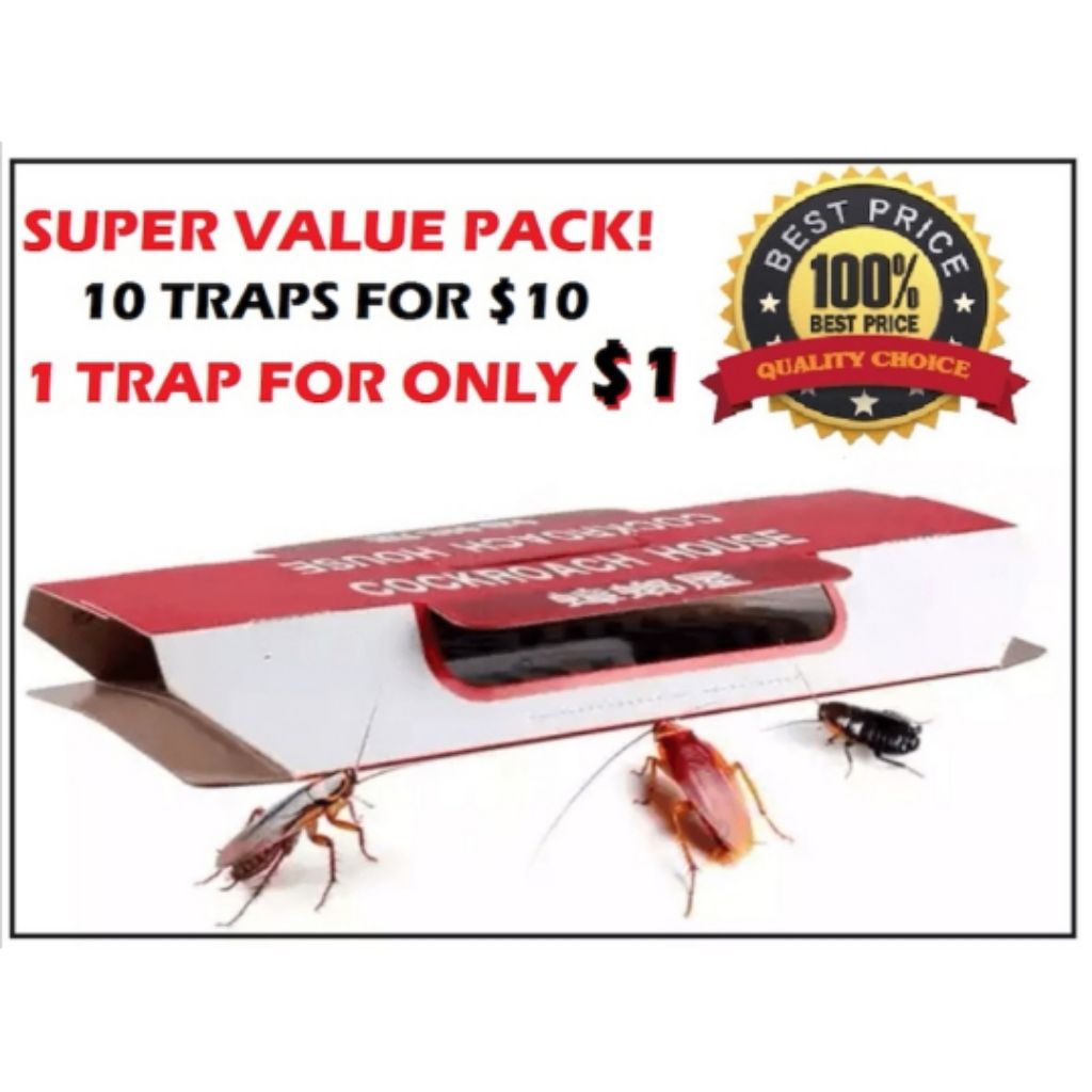 Cockroach Glue Trap With Bait (10pcs Box) 