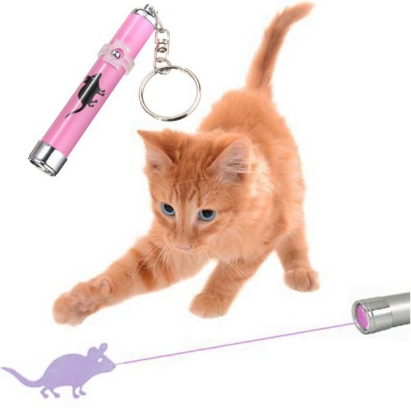 cool pet toys
