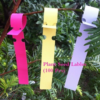 New Garden Plant Pot Markers Plastic Stake Tags Yard Court Nursery Seed Label S 
