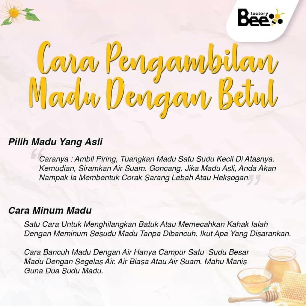 Shop Malaysia Sarang Madu Lebah Asli Pure Honey Bar Madu Shuib Bee Factory 100 Original Shopee Singapore