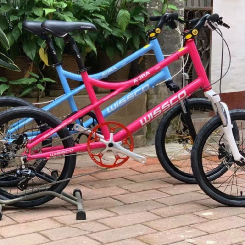 20 inch road bike frame