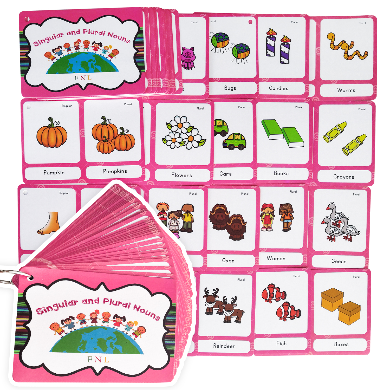70 Groups Noun English Plurals Kids English Word Flash Cards