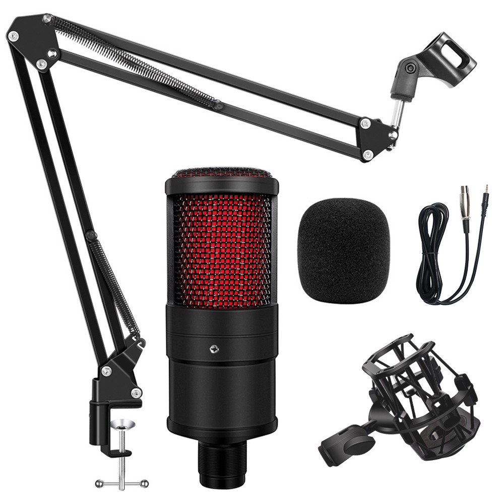 noise reducer microphone