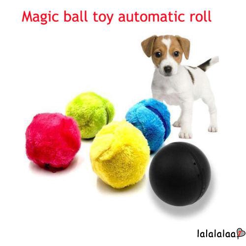 puppy magic toy