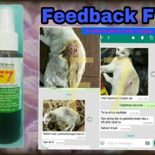PS HERBS (HQ) Spray F7 Ubat kurap, kudis, fungus kucing 