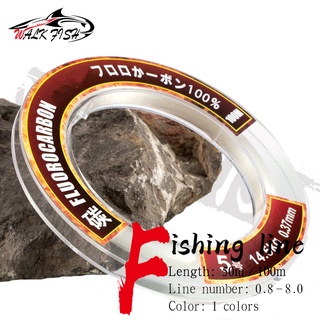 100m Fluorocarbon Fishing Line 3.5LB-40.5LB Carbon Fiber Leader Line Fly Fishing 