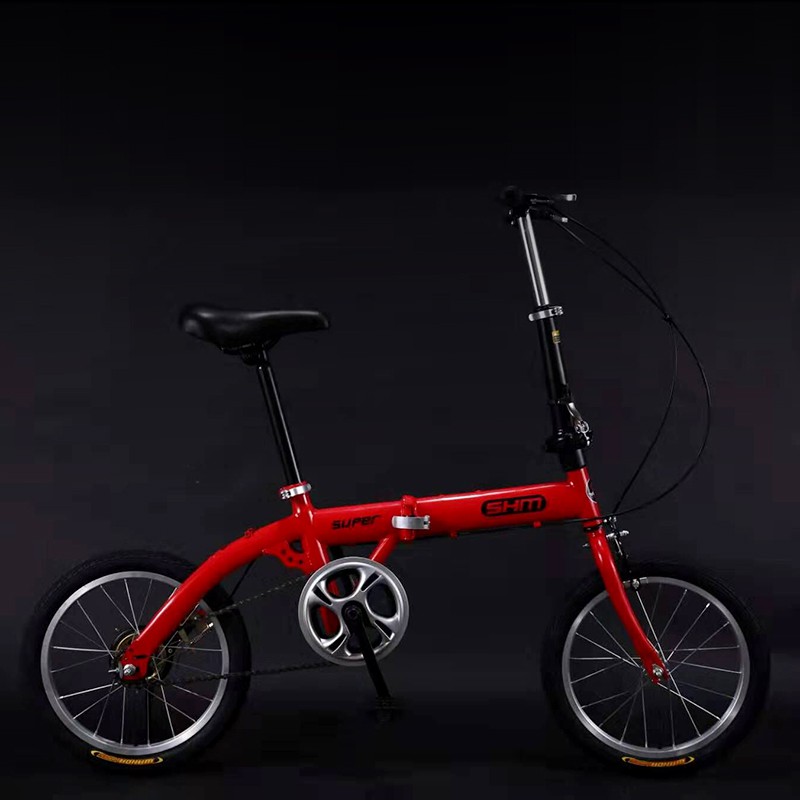 sanhema folding bike