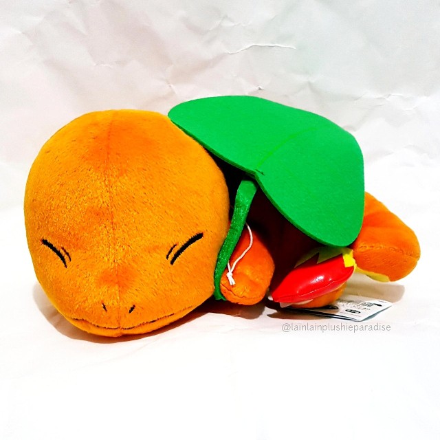 sleeping charmander