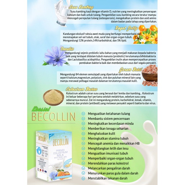 Vista Manhaj Becollin Colostrum Milk With Royal Jelly And Inulin Triple A Store Shopee Singapore