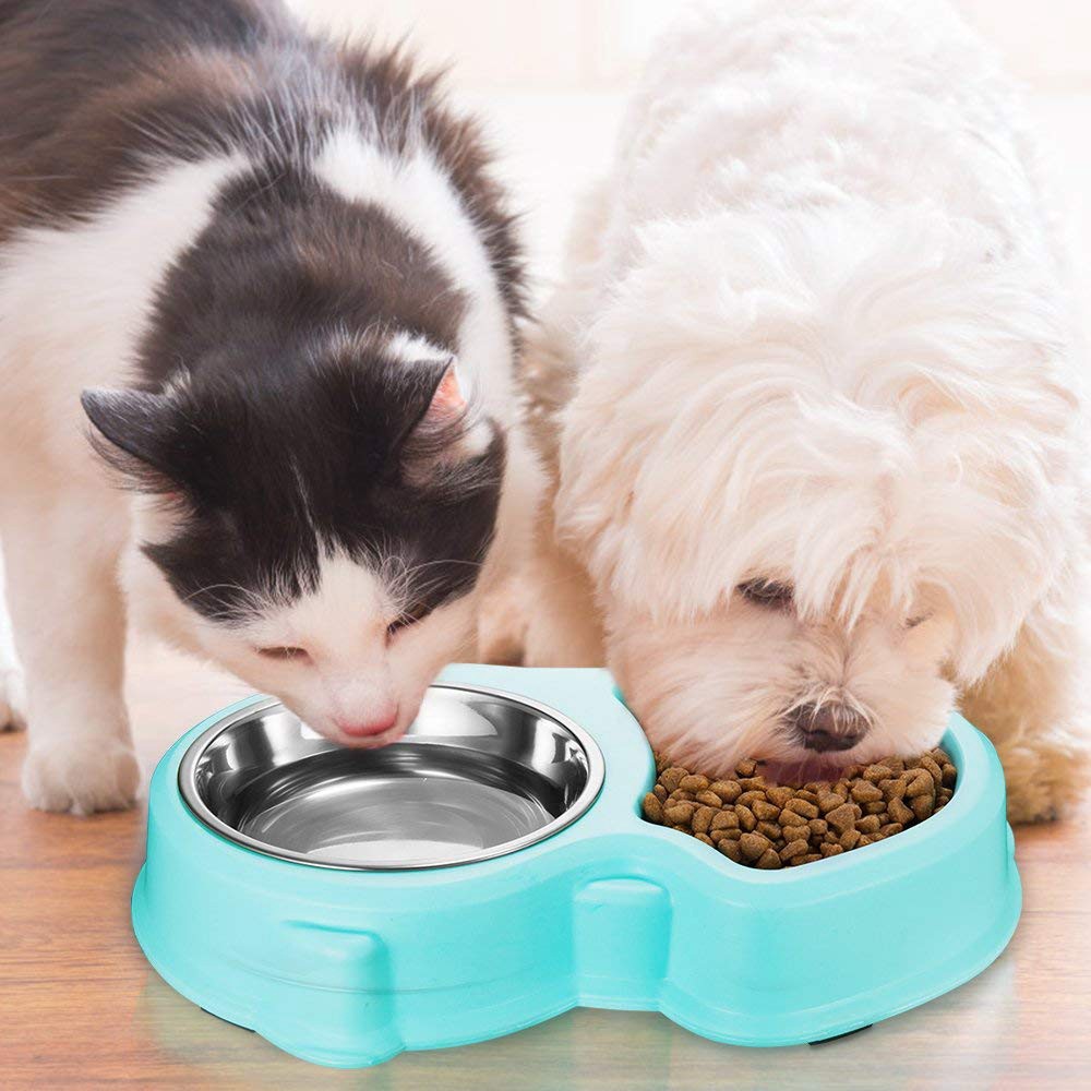 Small Dog Bowls Set Of A Slow Feeder Bowl And A Stainless Steel
