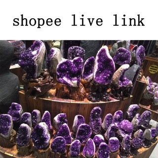 shoppe  live link 直播链接专拍