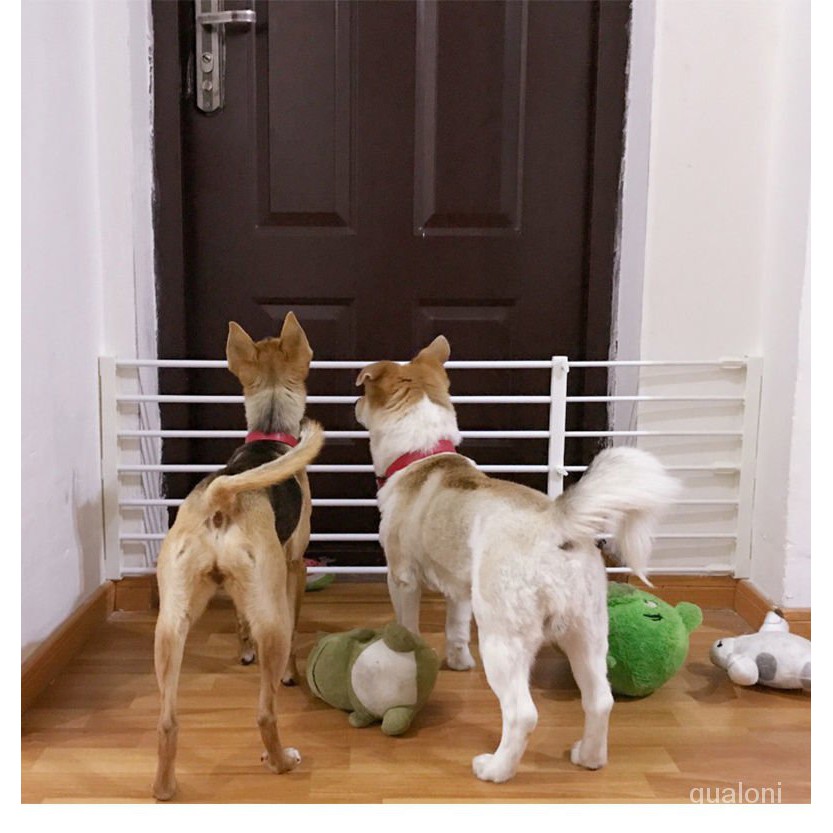 Kitchen Free Petcratescagesfence Dog Perforated Blocking Door Indoor Fence Small Dog Door Isolation Gate Removable Puppy Shopee Singapore