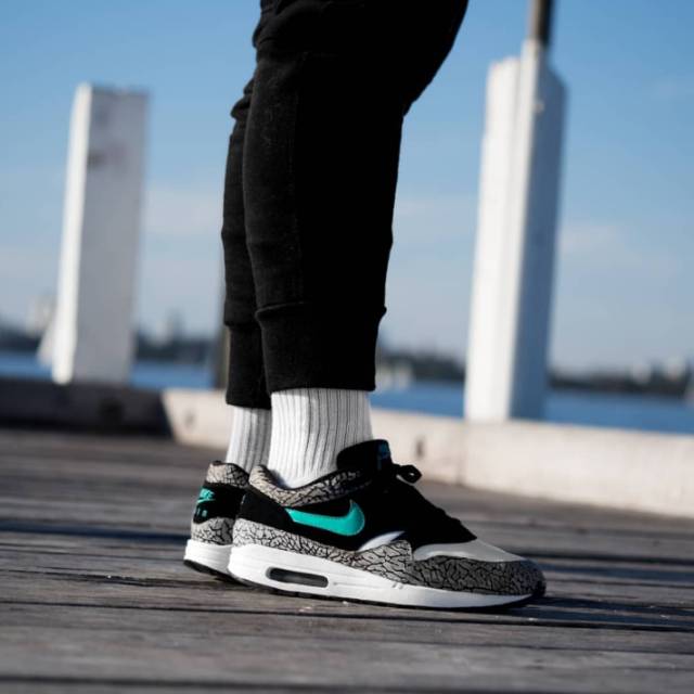 nike air max 1 elephant