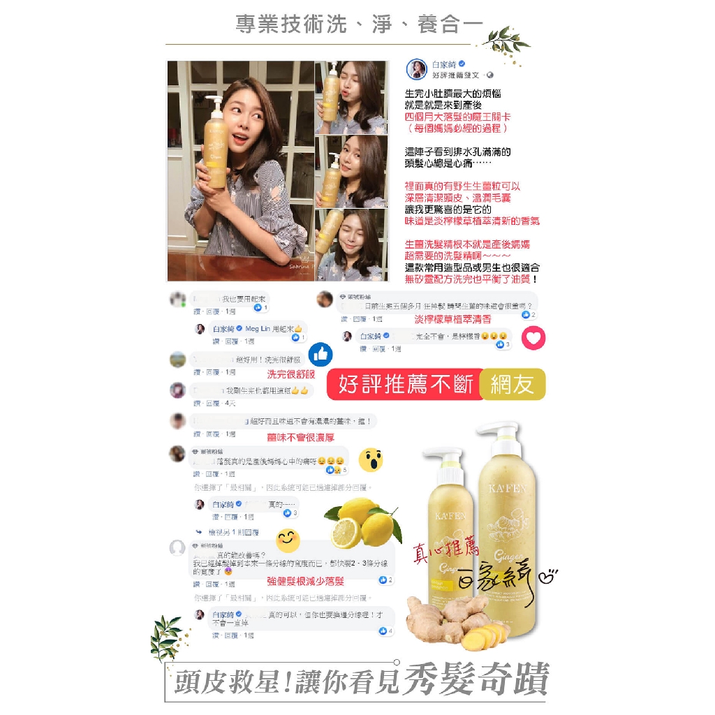 Kafen Ginger Shampoo 760ml 250ml Big Free Small Shopee Singapore