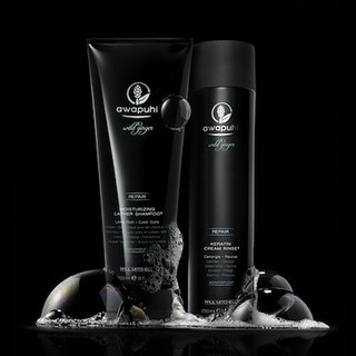 Paul Mitchell Awapuhi Wild Ginger Mirrorsmooth Shampoo High Gloss Primer Shopee Singapore