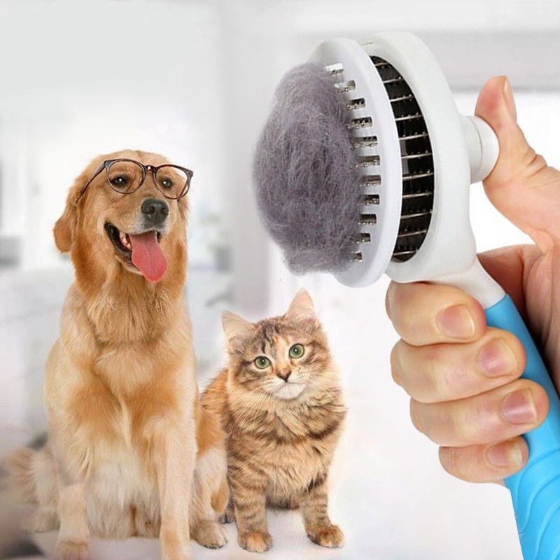 cat grooming brush