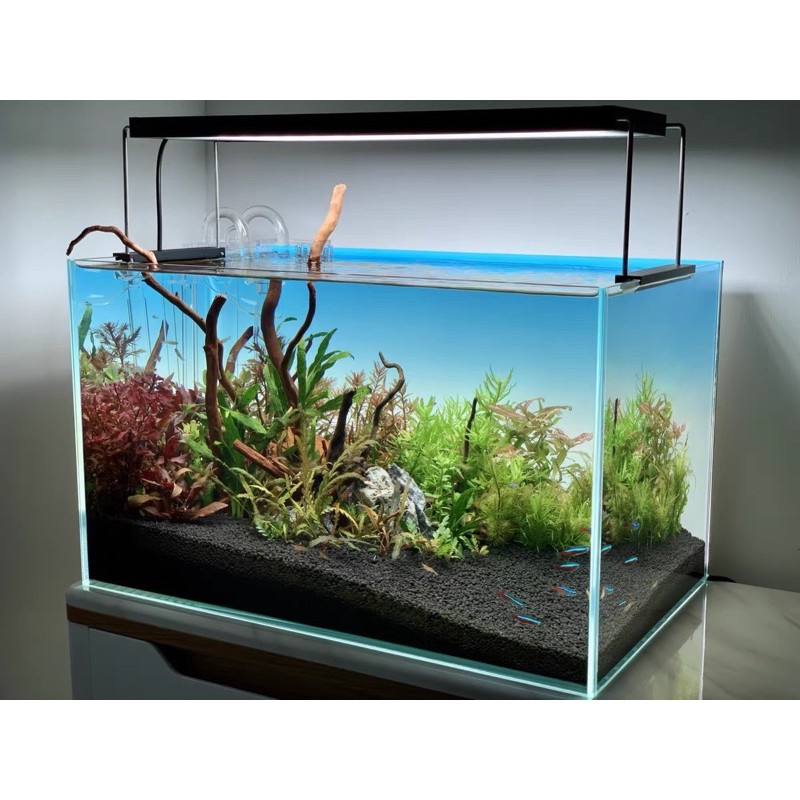 Aquarium Led Backdrop Screen Panel Ada Style Shopee Singapore