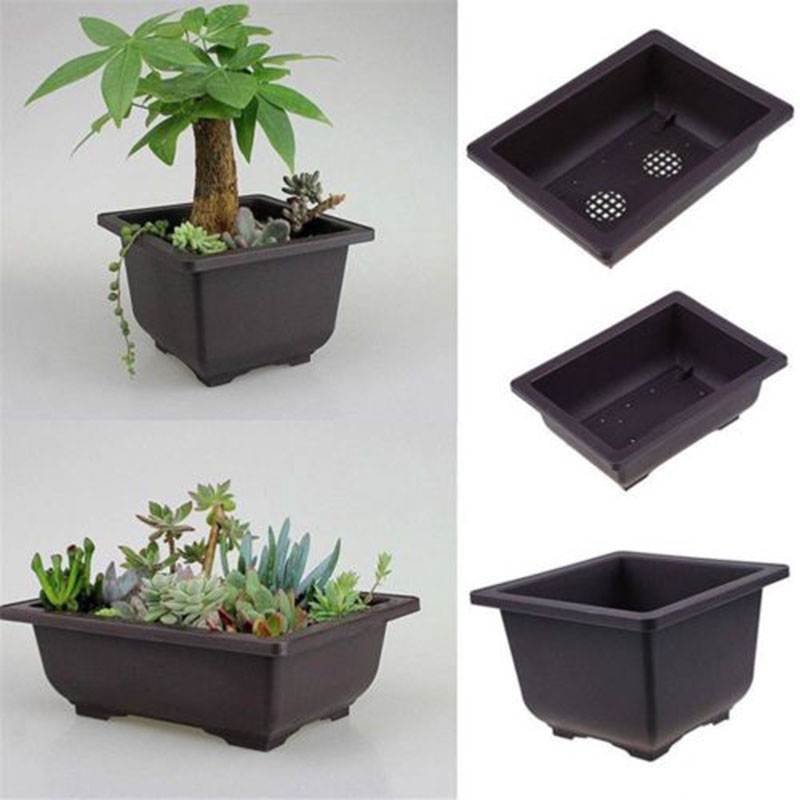 Details about   Plastic Flower Training Pots Square Nursery Home Garden Bonsai Plant Bowl Holder 