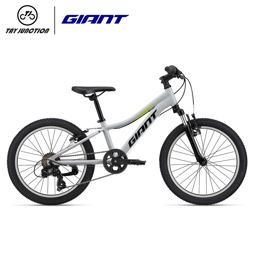 24 t bicycle