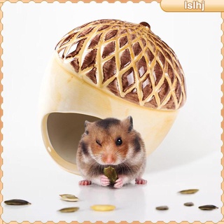 [lslhj] Ceramic Hamster Hideout Nest, Hamster  Bath,  and cool Small Animal Pet Nesting Habitat Cage #5