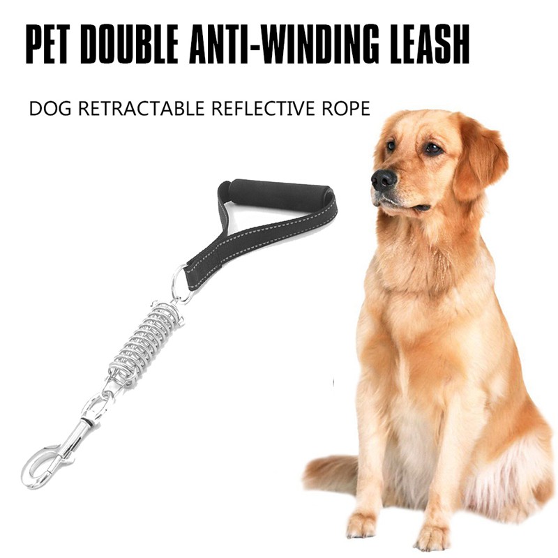 short leash dog