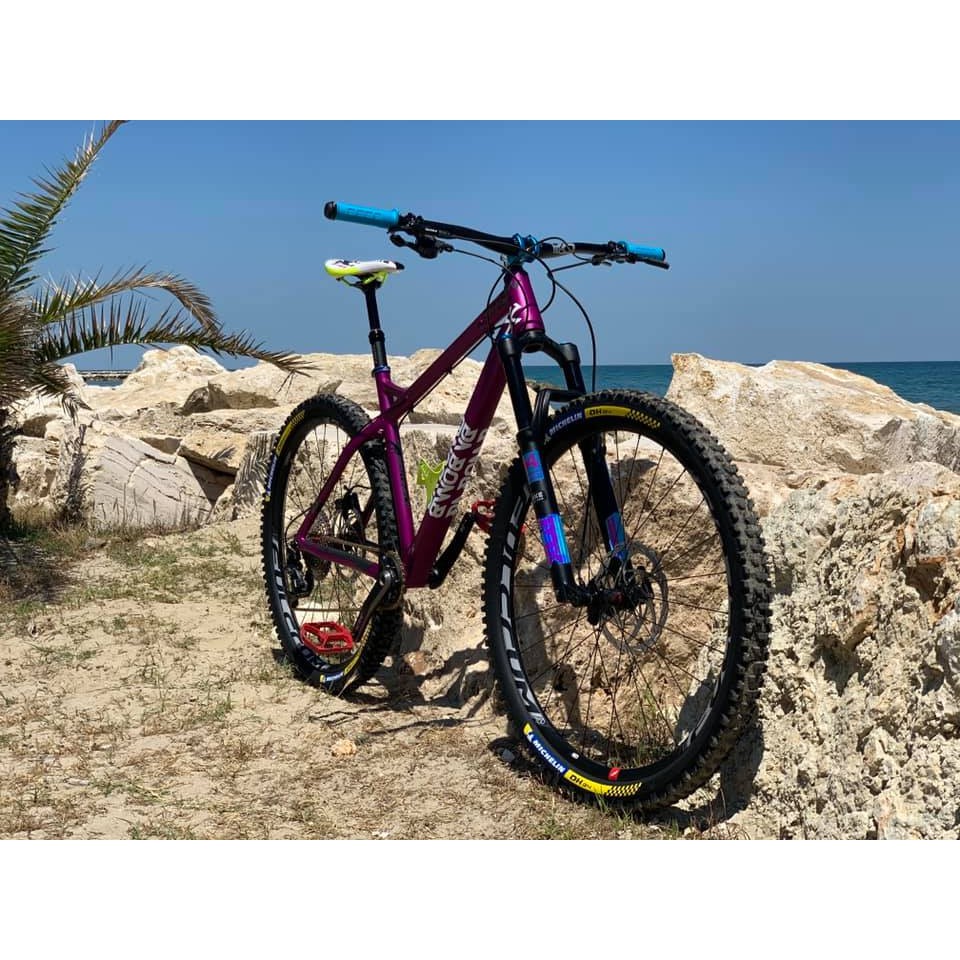 da bomb sentinel 29er