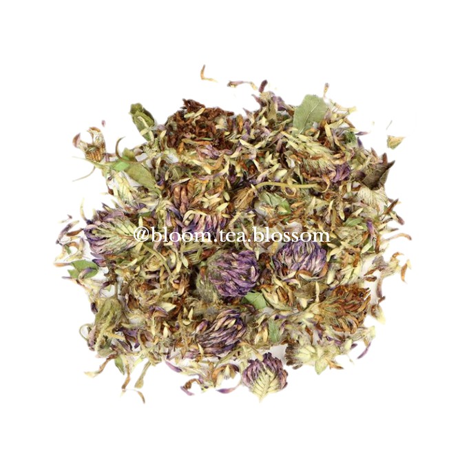 dried-red-clover-flower-tea-20gr-dried-red-clover-blossom-tea