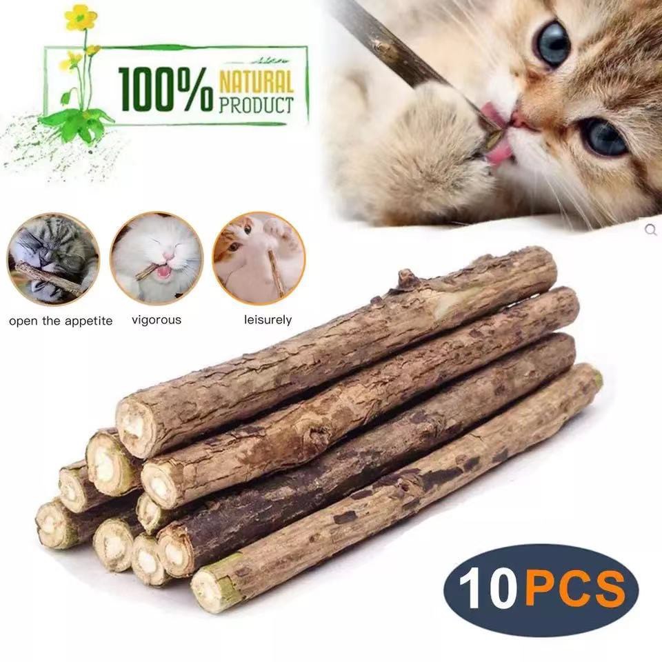 Cat Chew Silvervine Sticks, Organic for Dental Care Natural Catnip Sticks, Teeth Molar Toys for