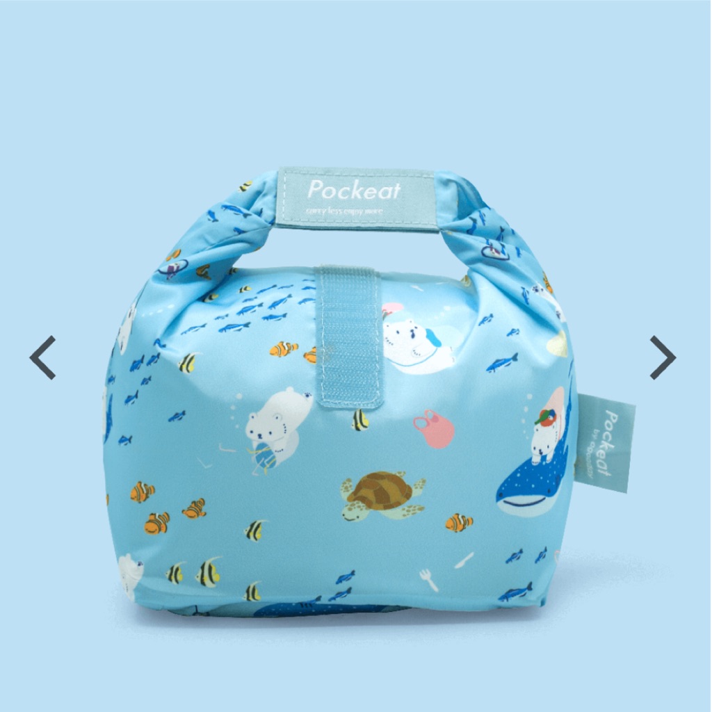 pockeat lunch bag