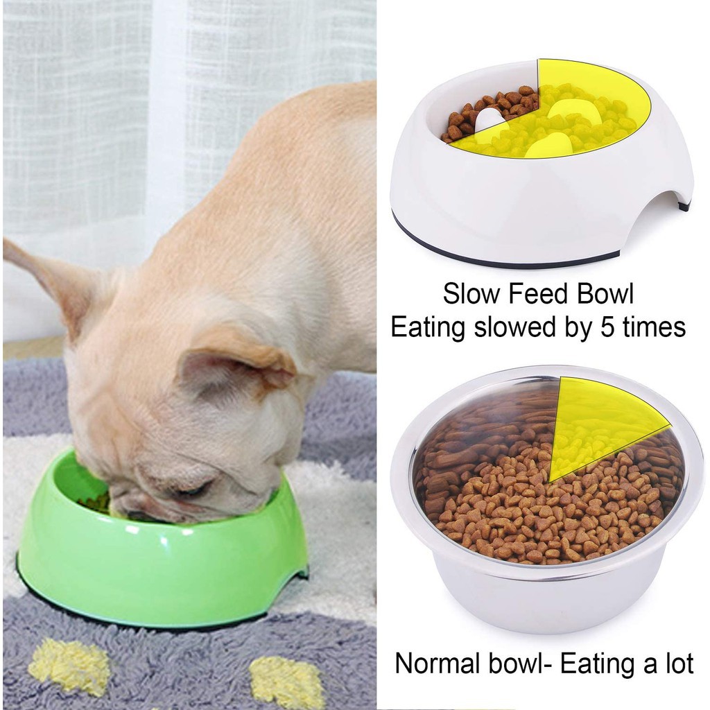 cat food bowl for fast eaters