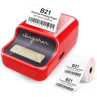 niimbot b21 label maker
