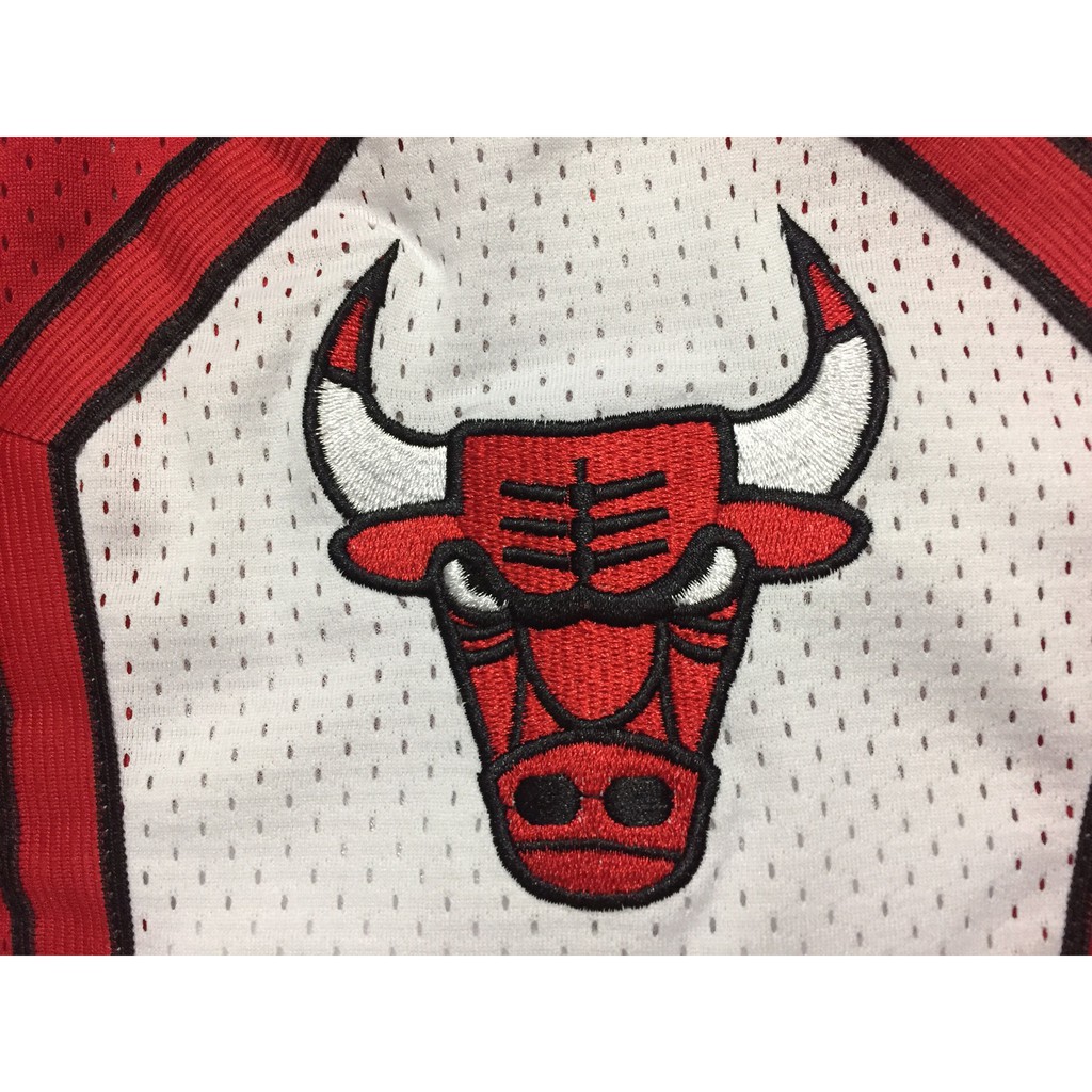bulls shorts with bulls on the front